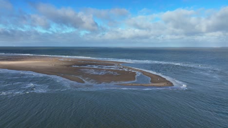 drone circles gray fur seal island during a sunny day in holland