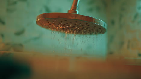 shower head with water spray