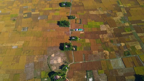 Aerial-view-of-agricultural-farmland-field-with-narrow-street-and-homes-at-a-village-in-Bangladesh