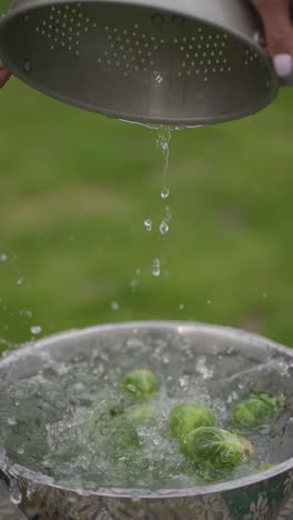 vertical close up of brussels sprouts falling in to clean water healthy vegetable diet vegan raw food close up