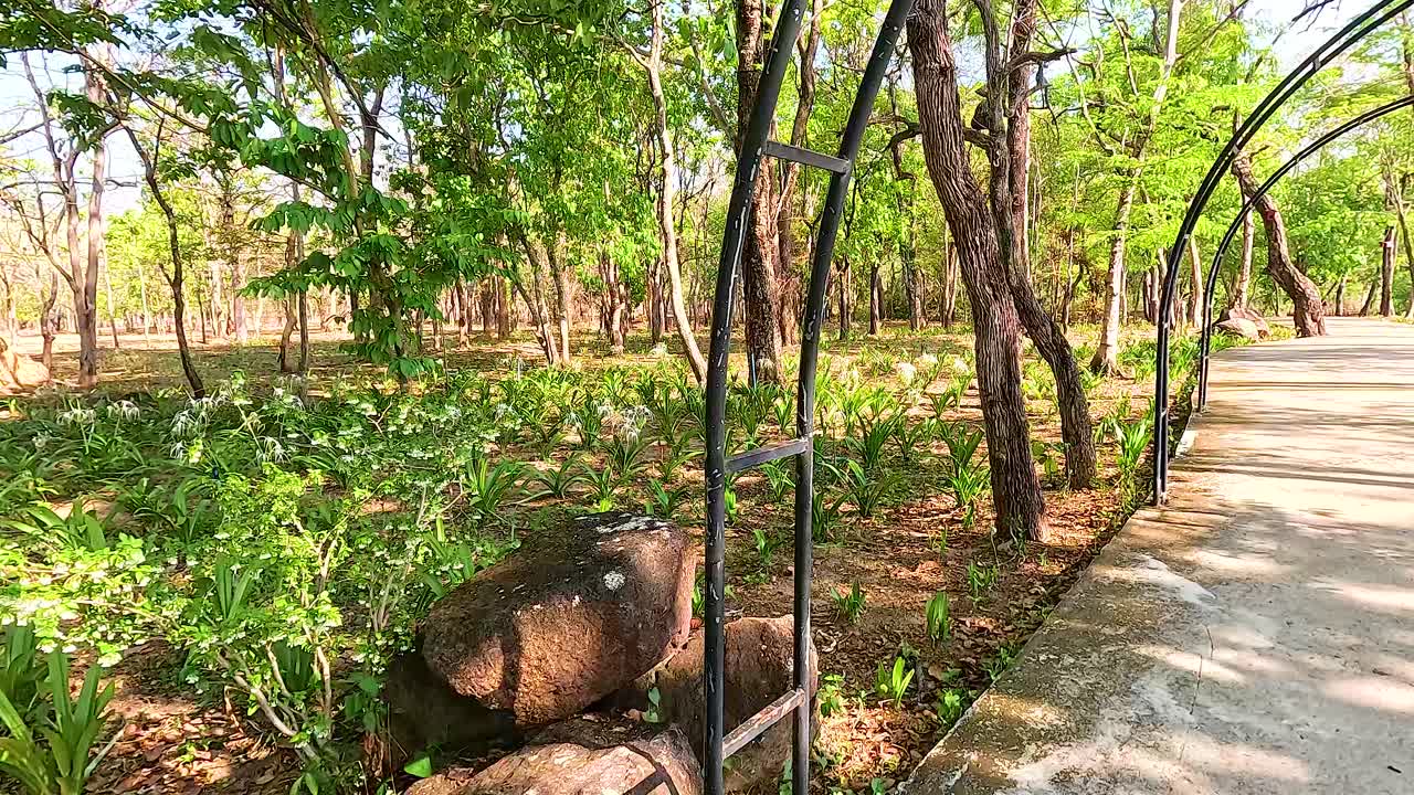 Park Path with Archway and Plants