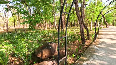 park path with archway and plants