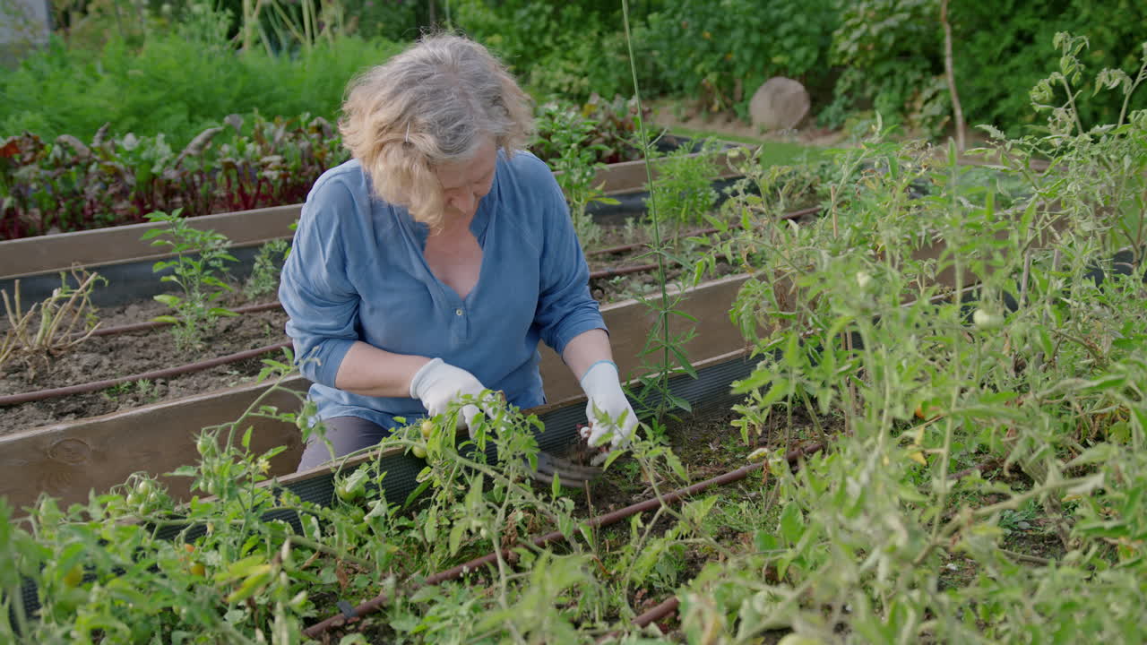 은 백인 여성은 정원 상자에 있는 초록색 식물에 의해 토양을 뽑습니다.