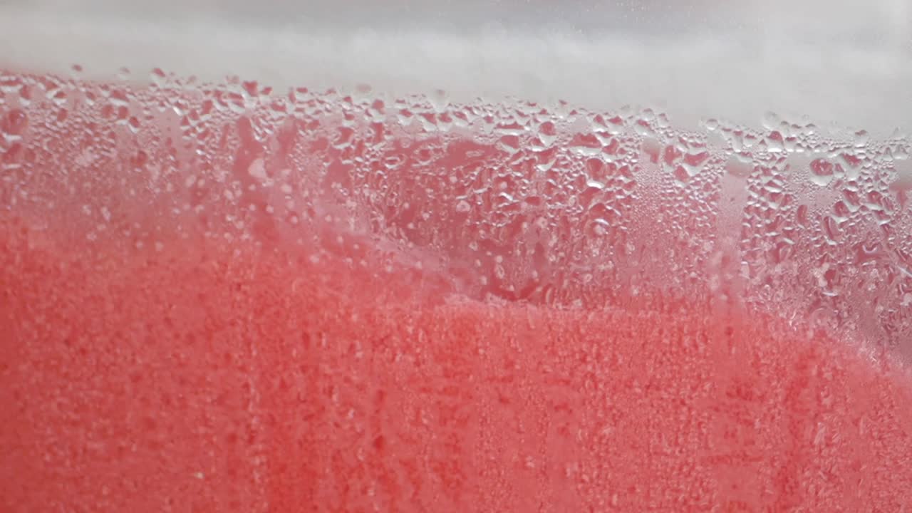 Frozen Watermelon Juice in a Container