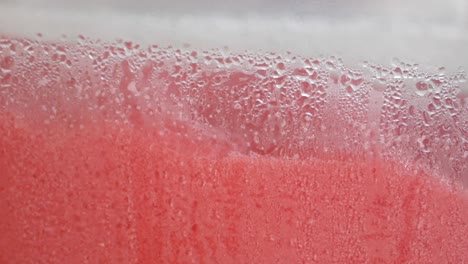 frozen watermelon juice in a container