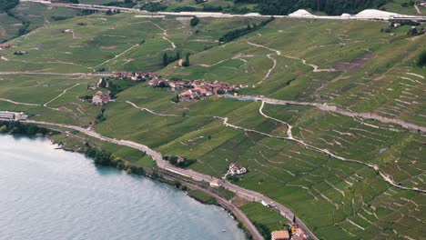 establishing shot of vineyards and lake geneva near lausanne