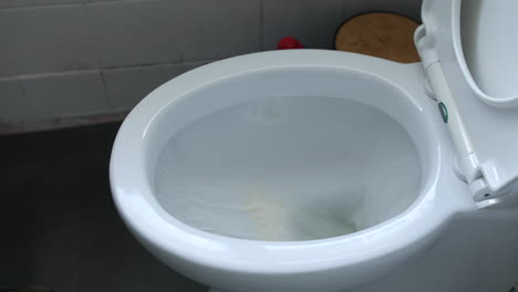 drug addict tipping away and flushing drugs down the toilet. disposing of cocaine narcotics powder beating addiction