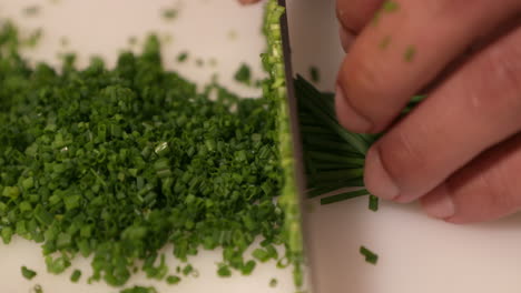 slicing delicious green chives for a yummy kabuki dish - close up