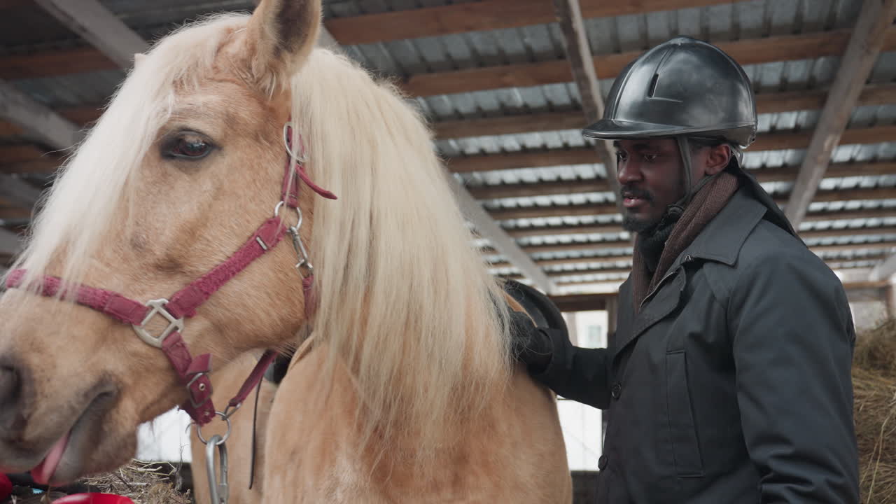 тренер спокойно седлает лошадь, конюх поправляет сбрую, а всадник спокойно готовится поблизости; спокойная сцена подготовки лошади к верховой езде тренером и конюхом в мирной обстановке конюшни