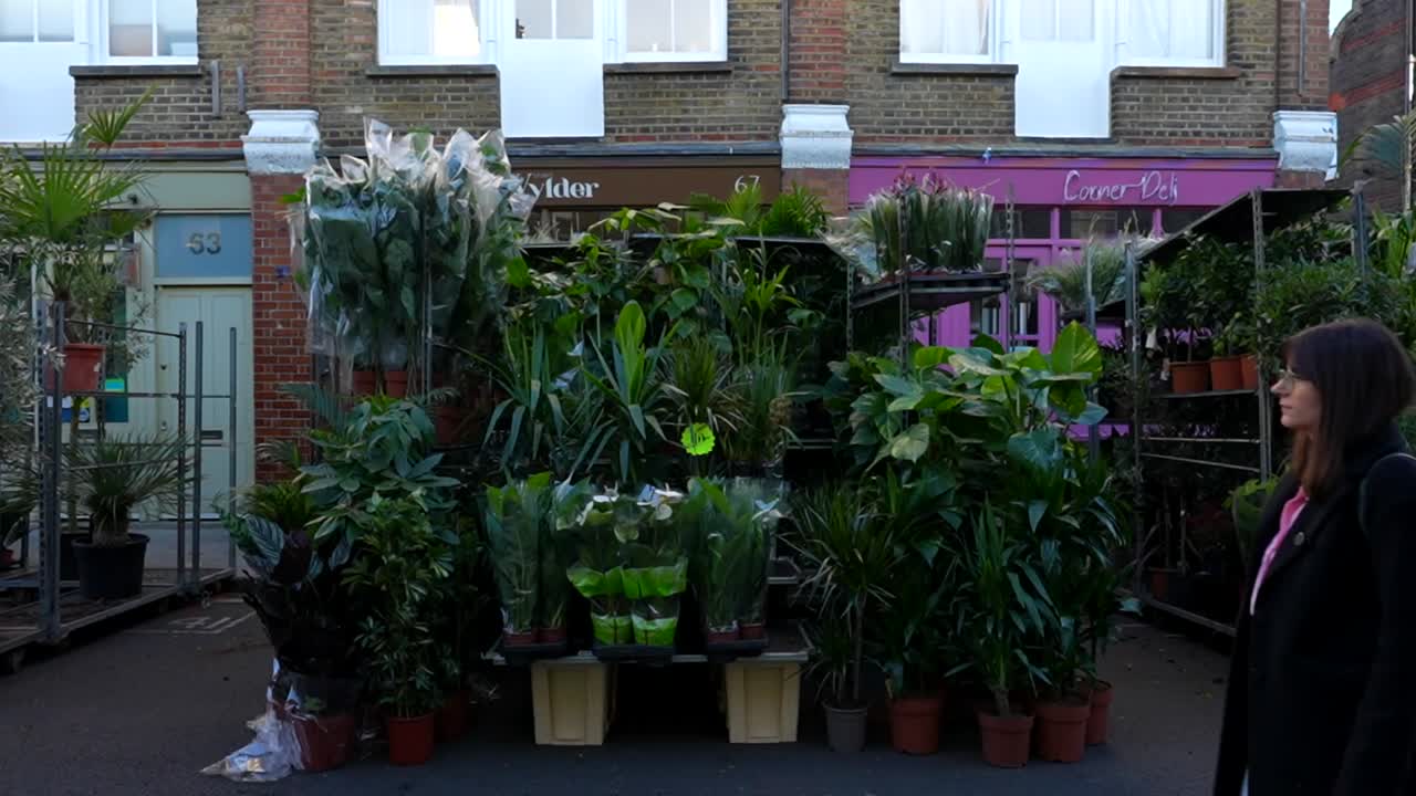 Woman walking past a plant shop in London