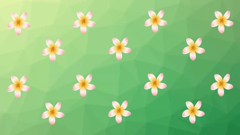 animación de flores blancas girando sobre un fondo verde
