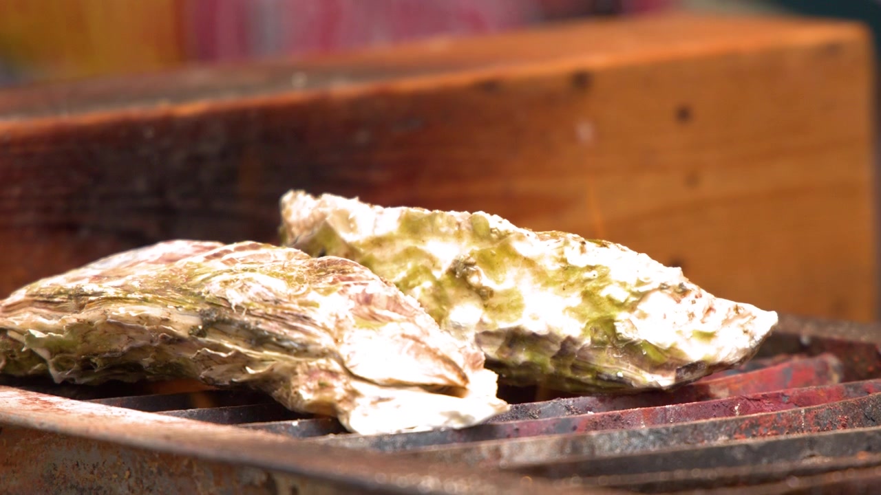 Close-up shot of two large oysters in shells cooking over a hot charcoal grill