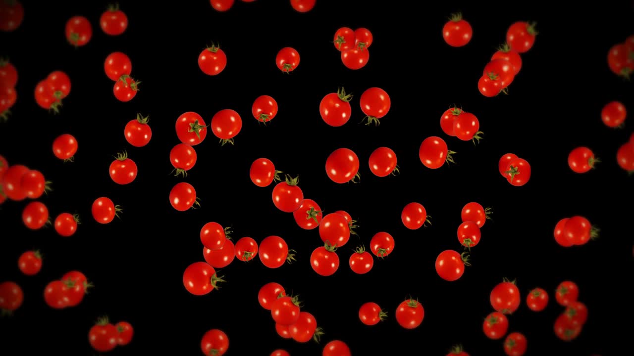 검은색 바탕에 많은 신선한 토마토를 날아. 유기 채소. 익은 맛있는 체리 토마토. 토마토 회전의 3d 루프 애니메이션.