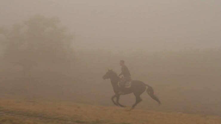 Man Riding Horse in Foggy Terrain