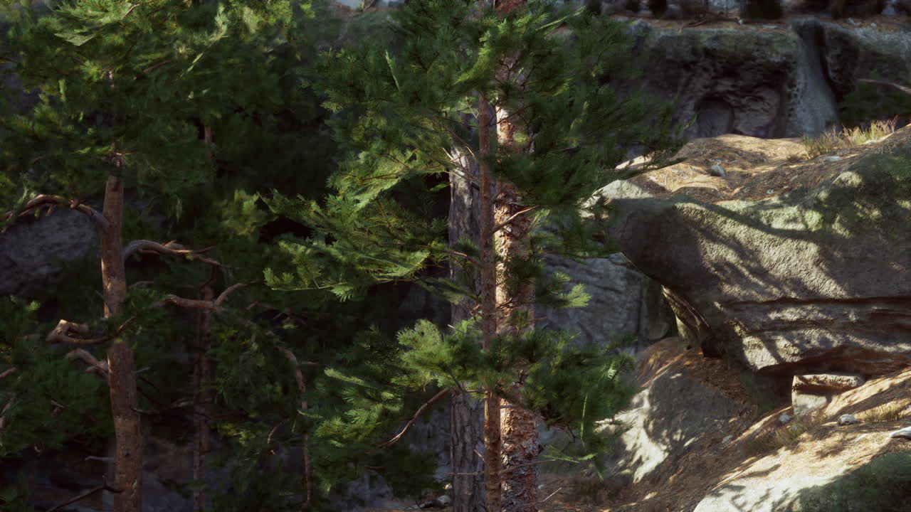 una roca grande con un árbol creciendo fuera de ella