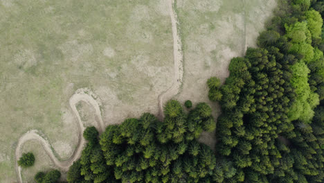 Malino-Brdo-Sports-Resort,-Ružomberok,-Liptov,-Eslovaquia---Vista-Aérea-De-Drones-De-Un-Sendero-Para-Bicicletas-Con-Curvas-En-Prados-Delimitados-Por-Exuberantes-árboles-De-Hoja-Perenne-En-Verano