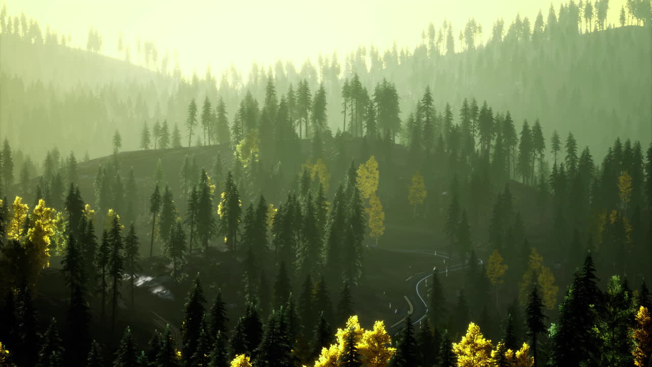 Vibrant autumn landscape with rolling hills and pine trees at sunrise