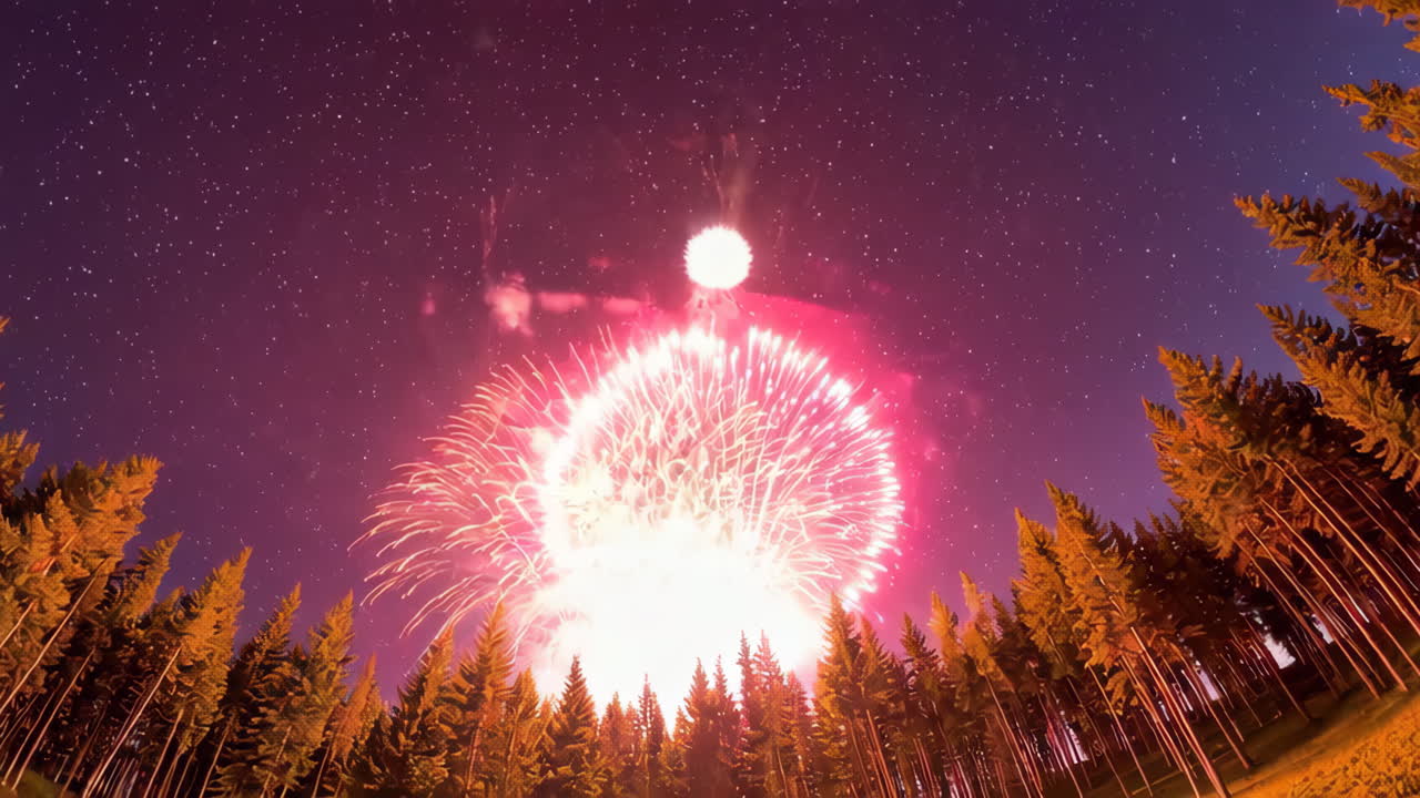 Fireworks over a Forest at Night