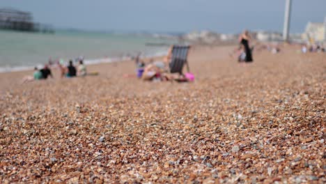 people enjoying a sunny day on the beach