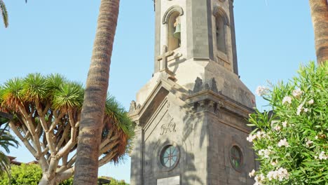 palmeras y campanario de la iglesia de la peña en la ciudad de puerto de la cruz