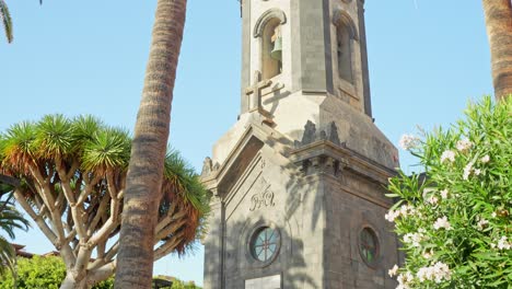 palm trees and bell tower of church of la peña in town of puerto de la cruz