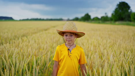 boy on big field of wheat. portrait of cute boy walking on wheat field