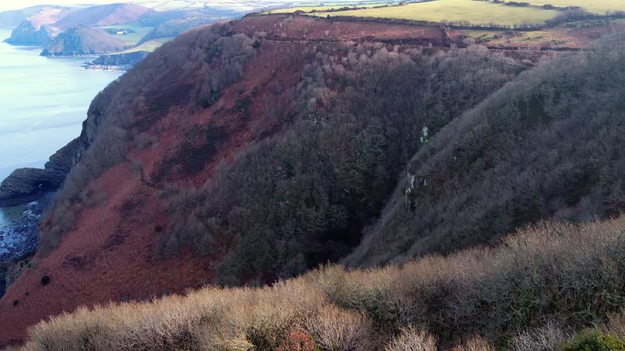 Pushing Aerial of Exmoor Coast with Exposed Rock and Forests on Cliff Edge with Rocky Beach and Cave Below 4K.