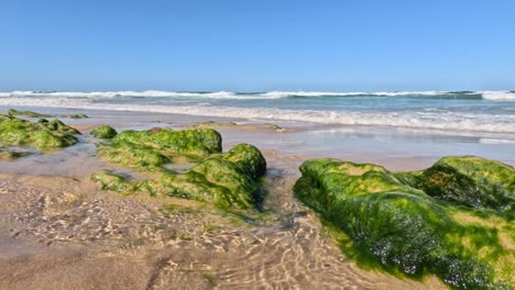 ocean waves hitting moss-covered rocks on the beach