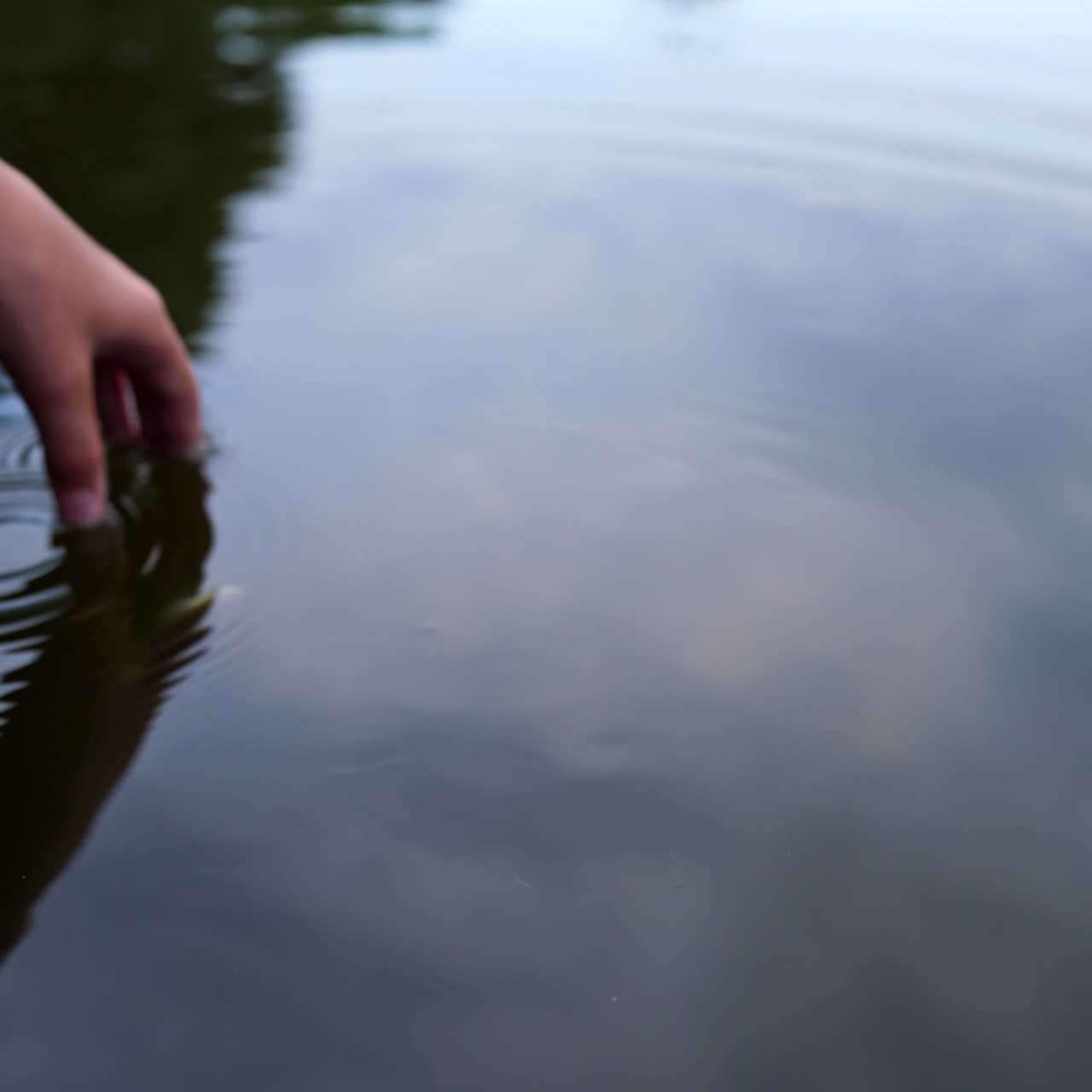 Fish in hands and water