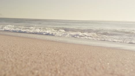 sea side during a sunny day