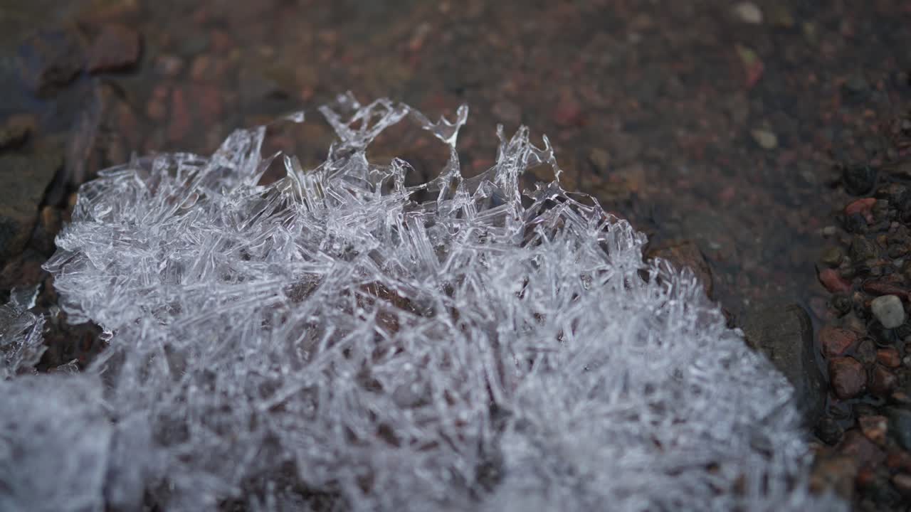 cristales de hielo que se forman en el borde de un pequeño arroyo