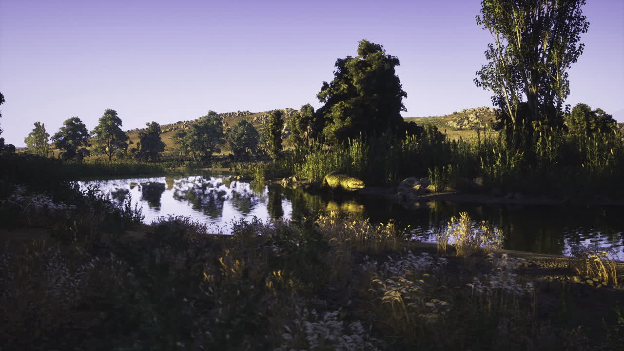 Una tranquilla scena serale dove il fiume riflette alberi alti sotto un cielo viola tenue.