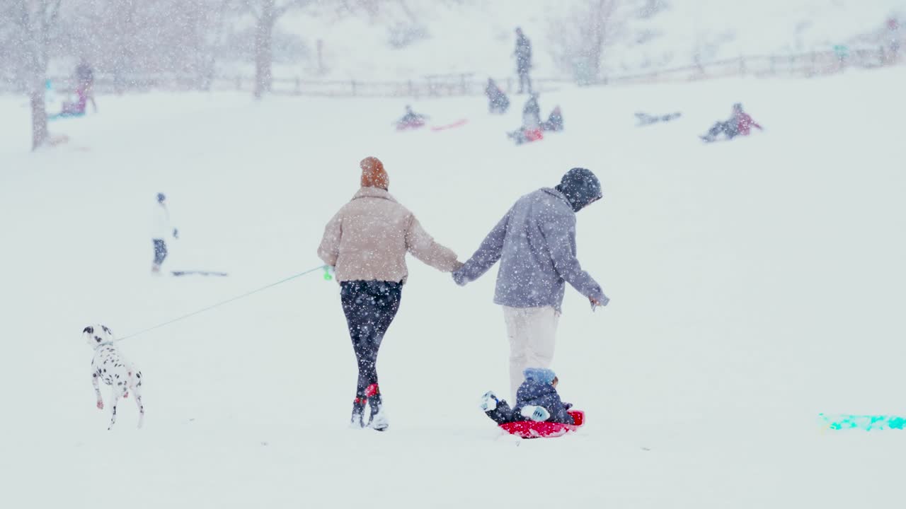 개와 함께 겨울 원더랜드를 걷는 가족