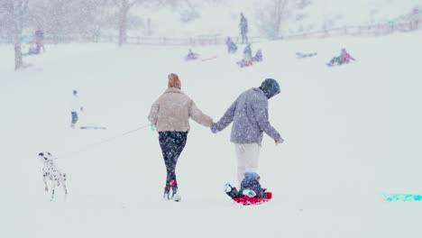 Eine-Familie,-Die-Mit-Dem-Hund-Durch-Ein-Winterwunderland-Geht