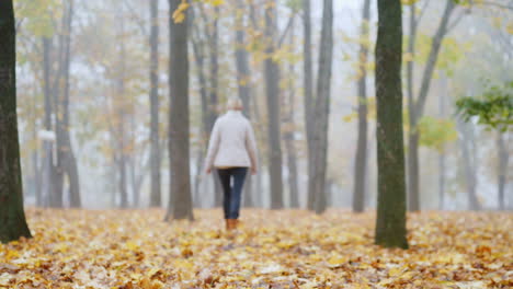 Gefallene-Blätter-Im-Park-In-Der-Ferne-Eine-Verschwommene-Silhouette-Einer-Frau