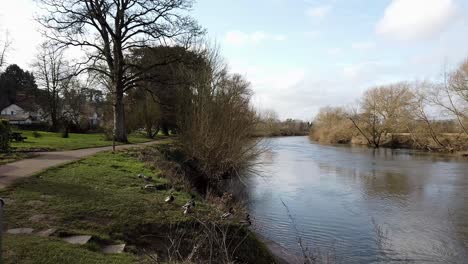 ross on wye, by river in early spring, uk