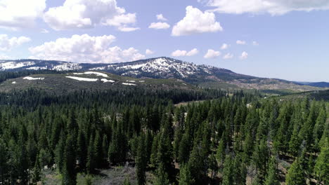 Fly-over-trees-revealing-mountain-with-ice