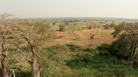 Viajando-Por-La-Sabana-Africana,-Drone-4k,-Angola,-áfrica-6