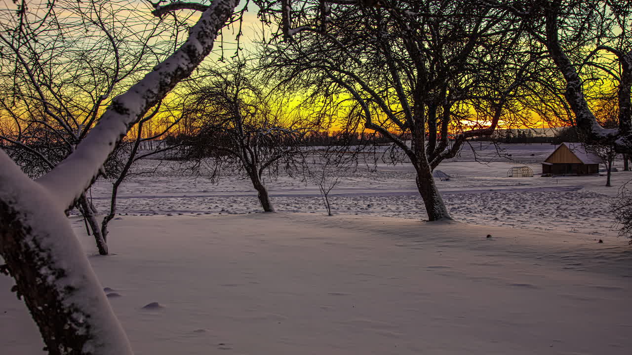 Árvores em paisagem nevada com pôr do sol amarelo ao fundo.