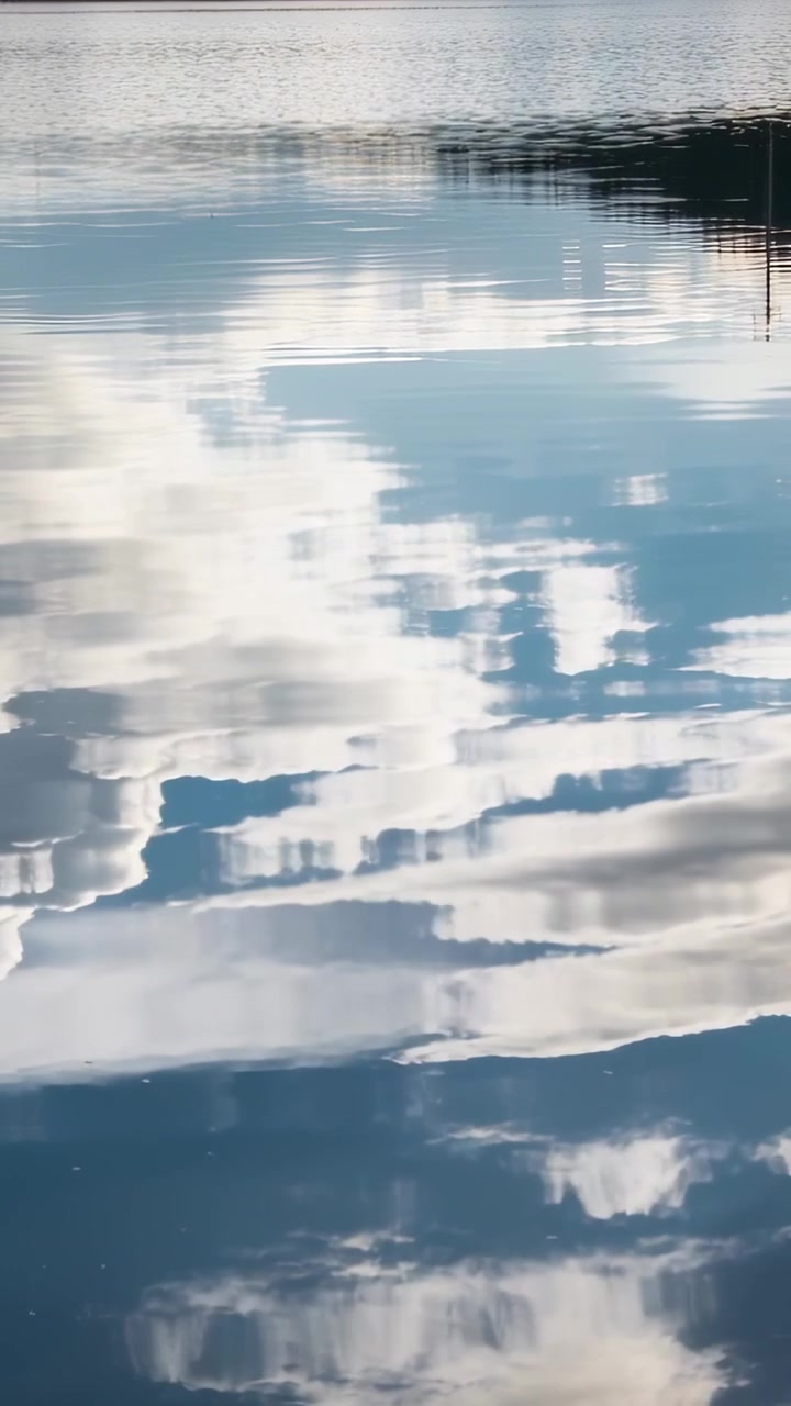 Vertical video: Rippling water surface creating cloud reflections from breeze at pond, shore posts