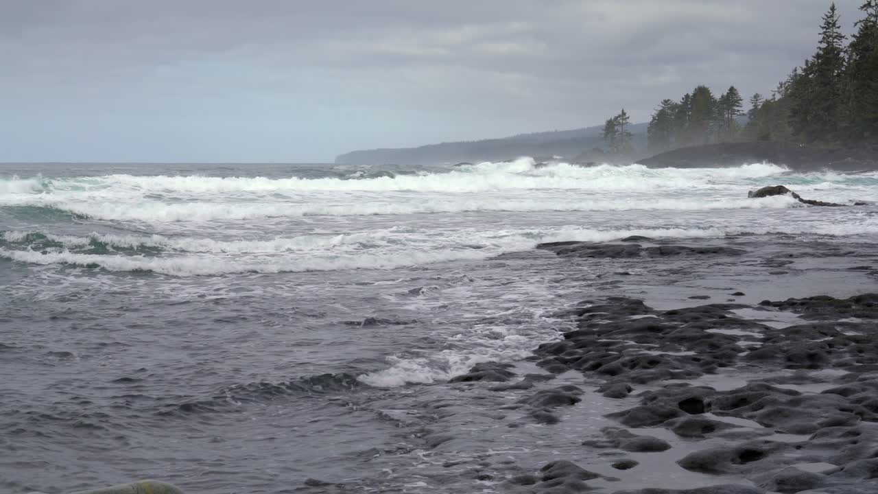 Waves crash on a rocky shoreline under a cloudy sky, with distant trees lining the coast. The scene captures the raw beauty of a rugged, natural seascape
