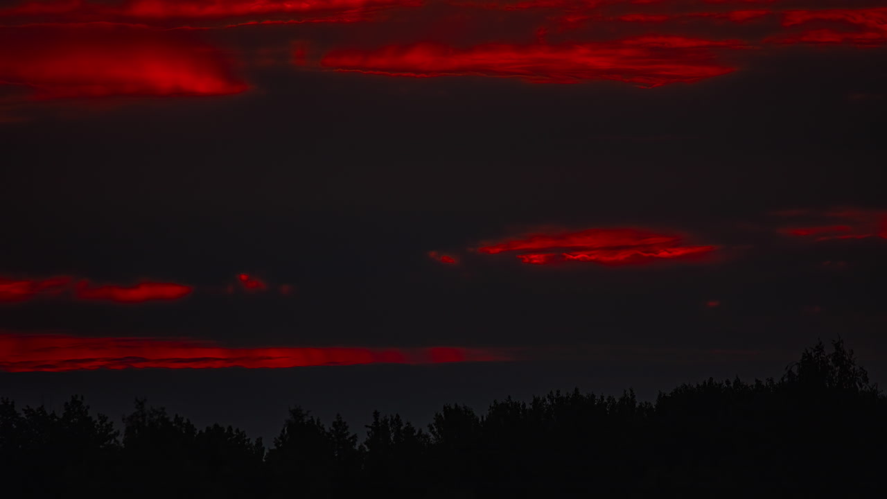 어두운 구름 밖으로 나오는 해가 뜨면 숲의 실루을 드러내는