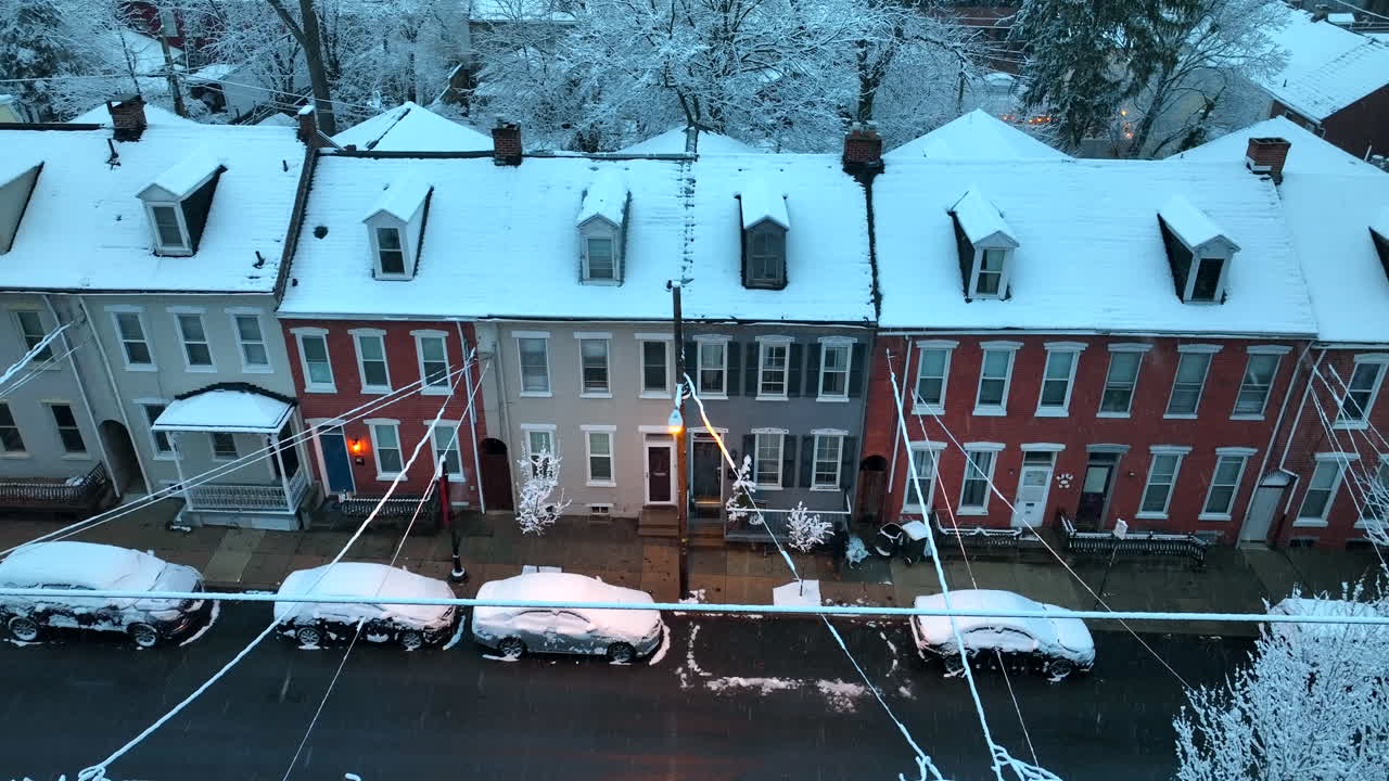 도시 보도에서 개를 산책시키는 사람