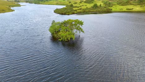 Drone footage glides over a calm lake, focusing on a solitary tree surrounded by water and lush green fields under soft daylight