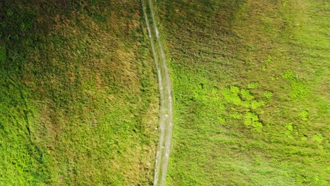 Country-road-between-beautiful-colorful-autumn-fields-aerial-view