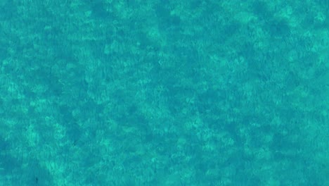 las ondas de la luz del sol se refractan bailando en el agua del océano azul turquesa con fondo arenoso