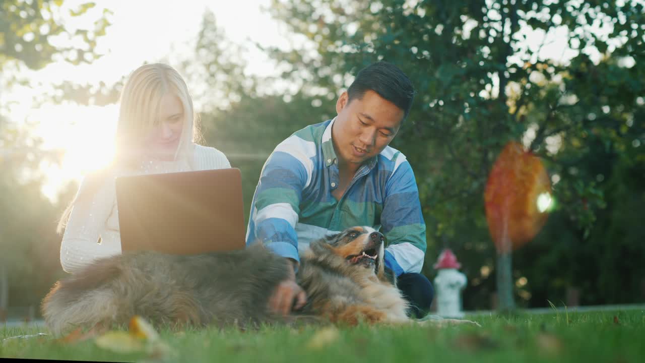 젊은 부부는 노트북을 즐기며 개와 함께 공원에서 휴식을 취하고 있습니다.