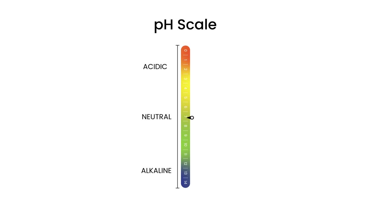 Diagrama animado vertical de la escala de pH, de niveles ácidos a alcalinos, aislado sobre fondo blanco.