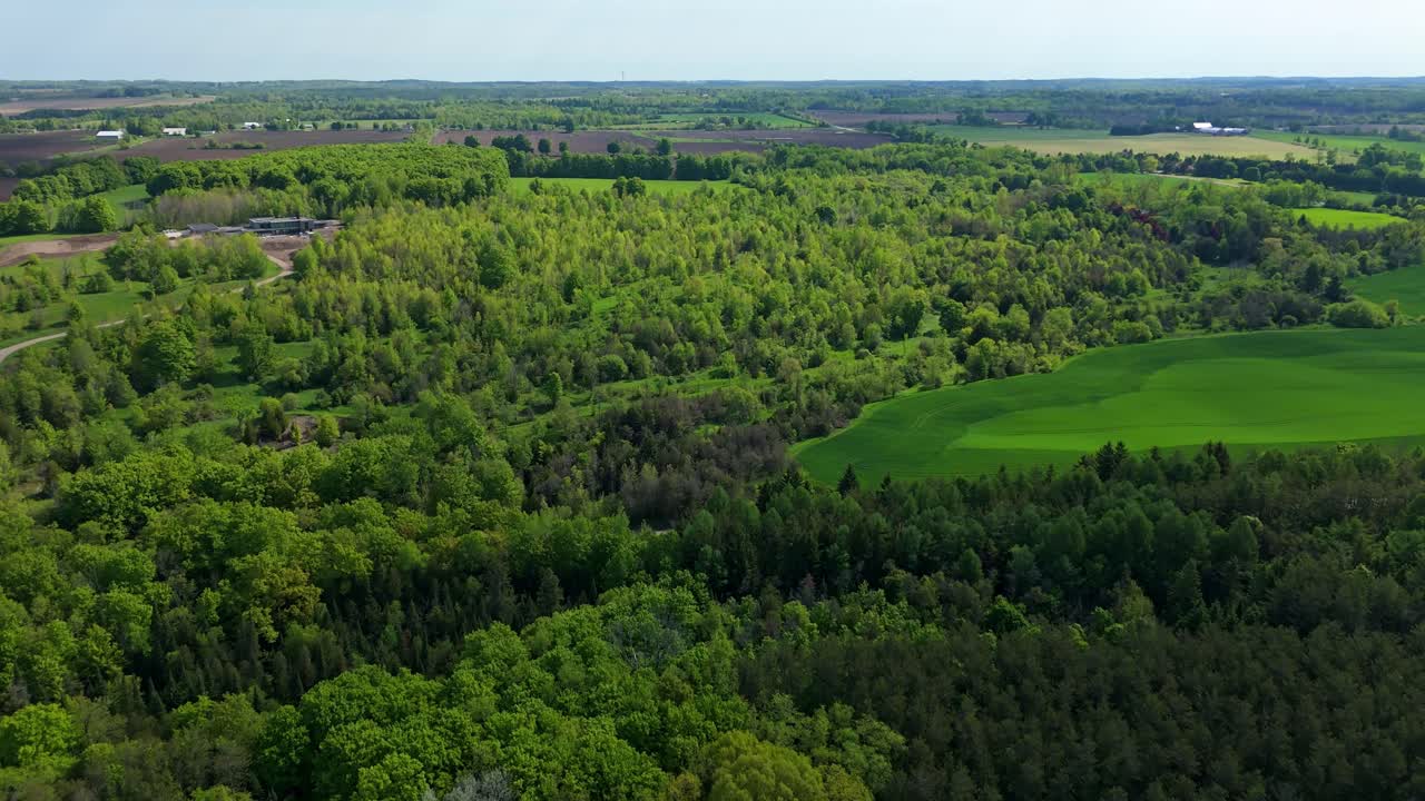 Green forest and distant horizon in Ontario, Canada, wide aerial push-in
