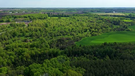 green forest and distant horizon in ontario, canada, wide aerial push-in